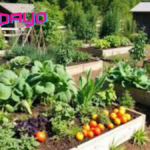 Permaculture Garden: A Sustainable Approach to Gardening